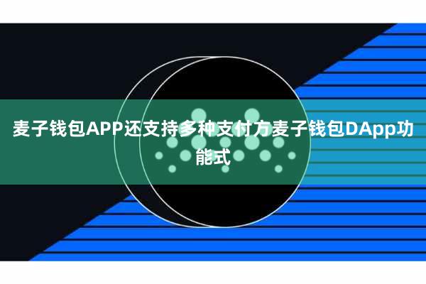 麦子钱包APP还支持多种支付方麦子钱包DApp功能式