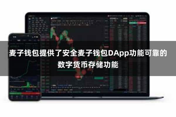 麦子钱包提供了安全麦子钱包DApp功能可靠的数字货币存储功能