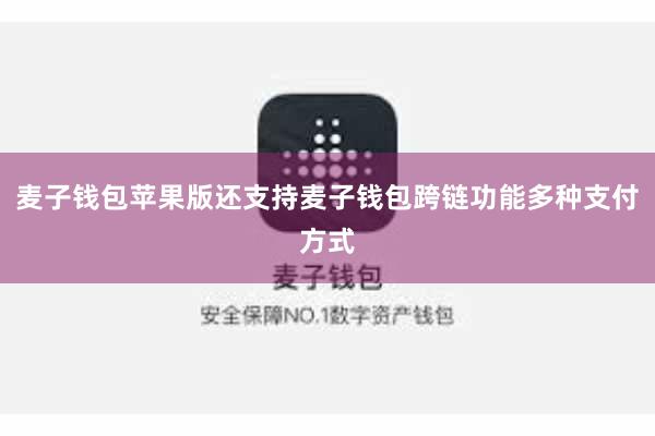 麦子钱包苹果版还支持麦子钱包跨链功能多种支付方式