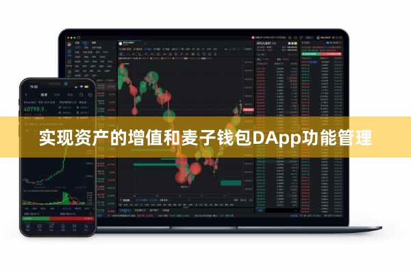 实现资产的增值和麦子钱包DApp功能管理