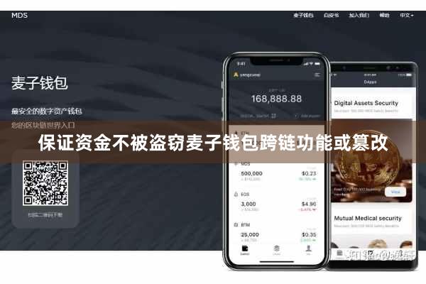 保证资金不被盗窃麦子钱包跨链功能或篡改