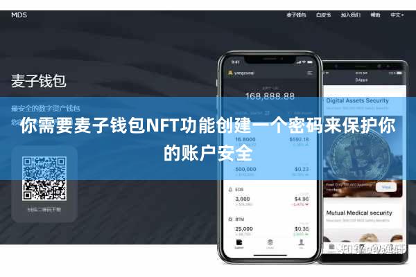你需要麦子钱包NFT功能创建一个密码来保护你的账户安全