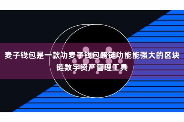 麦子钱包是一款功麦子钱包跨链功能能强大的区块链数字资产管理工具