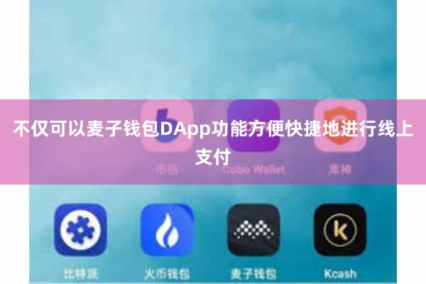 不仅可以麦子钱包DApp功能方便快捷地进行线上支付