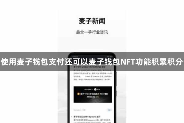 使用麦子钱包支付还可以麦子钱包NFT功能积累积分