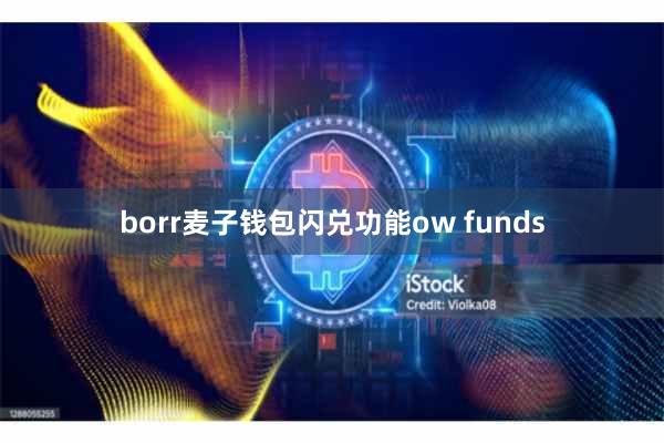 borr麦子钱包闪兑功能ow funds