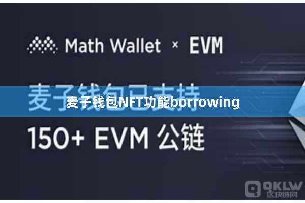 麦子钱包NFT功能borrowing