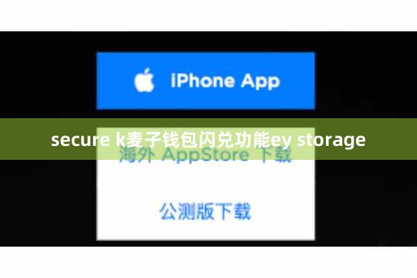 secure k麦子钱包闪兑功能ey storage