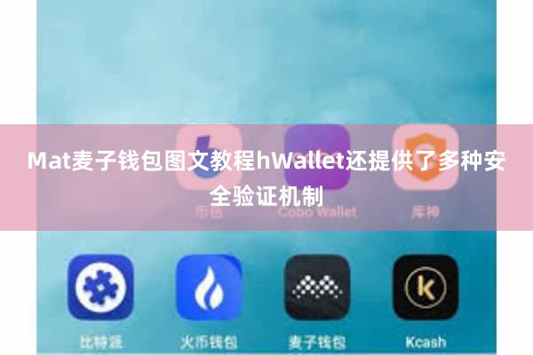 Mat麦子钱包图文教程hWallet还提供了多种安全验证机制