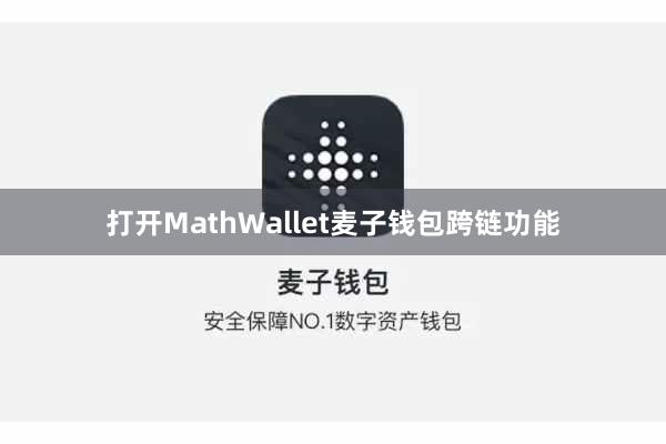 打开MathWallet麦子钱包跨链功能