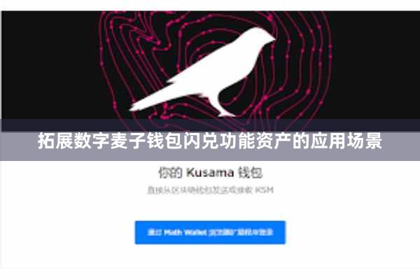 拓展数字麦子钱包闪兑功能资产的应用场景