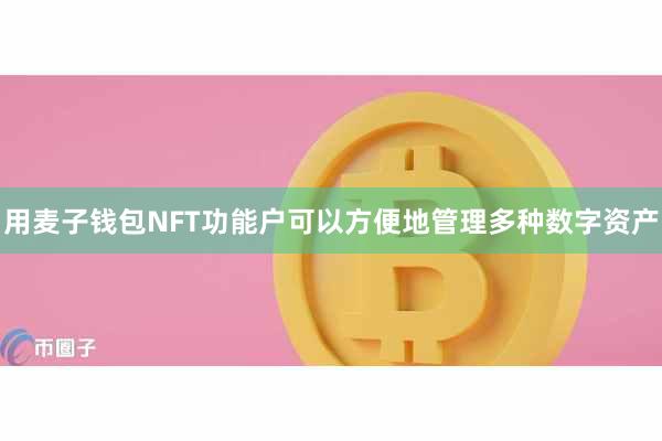 用麦子钱包NFT功能户可以方便地管理多种数字资产