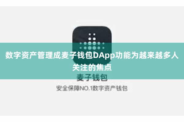 数字资产管理成麦子钱包DApp功能为越来越多人关注的焦点