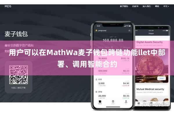 用户可以在MathWa麦子钱包跨链功能llet中部署、调用智能合约