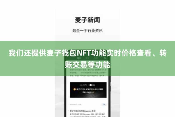我们还提供麦子钱包NFT功能实时价格查看、转账交易等功能