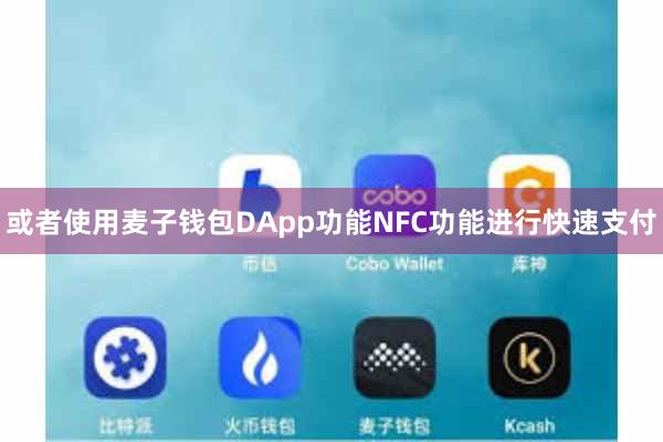 或者使用麦子钱包DApp功能NFC功能进行快速支付