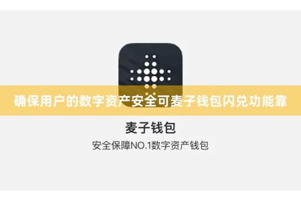 确保用户的数字资产安全可麦子钱包闪兑功能靠