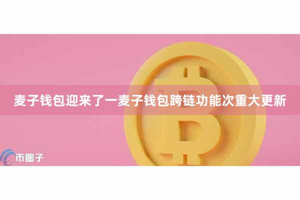 麦子钱包迎来了一麦子钱包跨链功能次重大更新