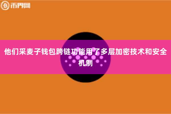 他们采麦子钱包跨链功能用了多层加密技术和安全机制
