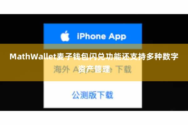MathWallet麦子钱包闪兑功能还支持多种数字资产管理
